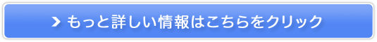 X}C̓RT^gST|[g̔TCg